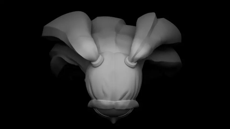 MIRA HEAD SCULPT 3D print model_3