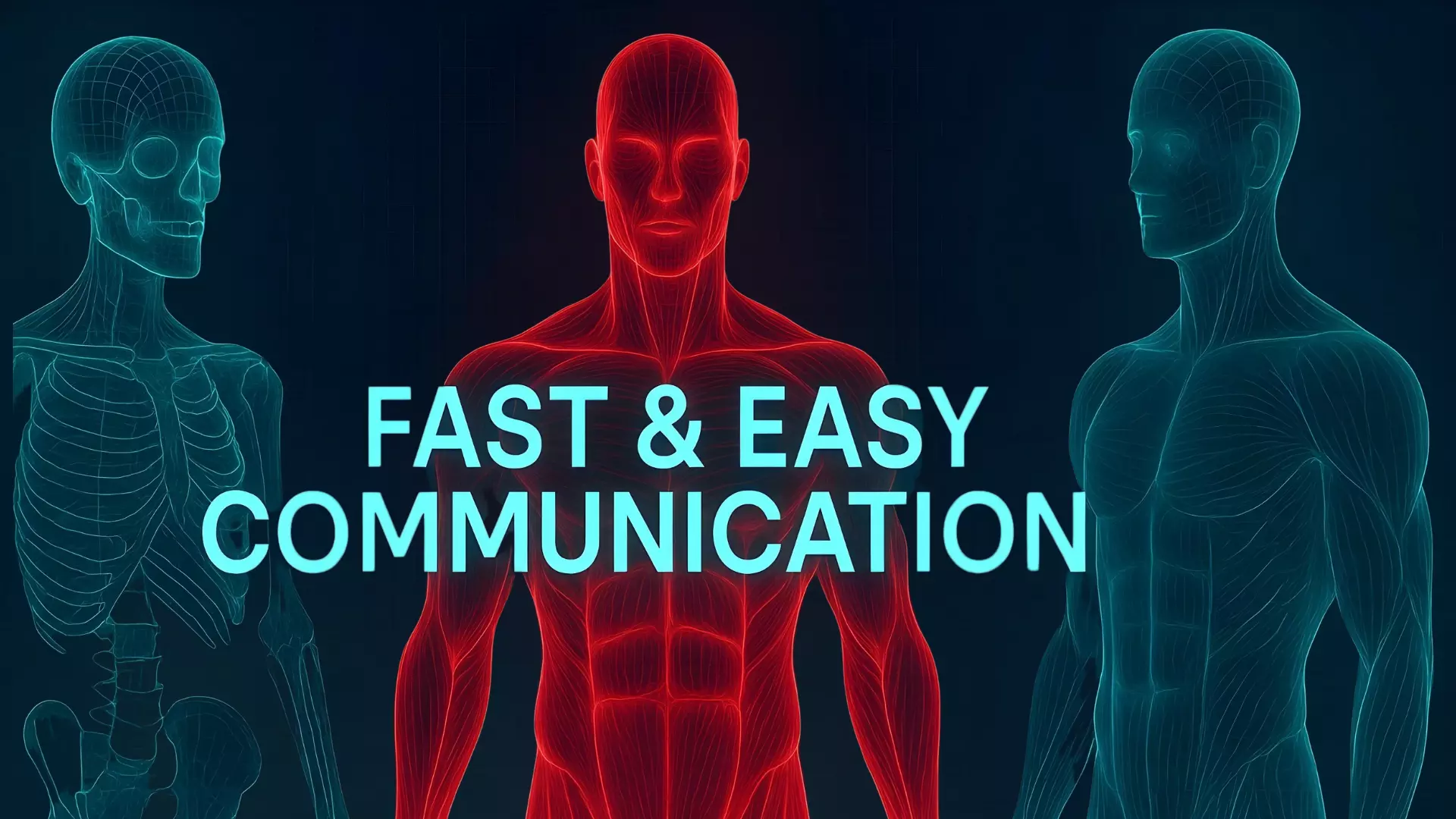 Full Body Muscle Anatomy 3D model_30