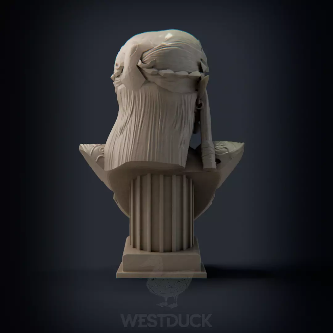 Princess Zelda - LOZ Twilight Princess bust 3D print model_5