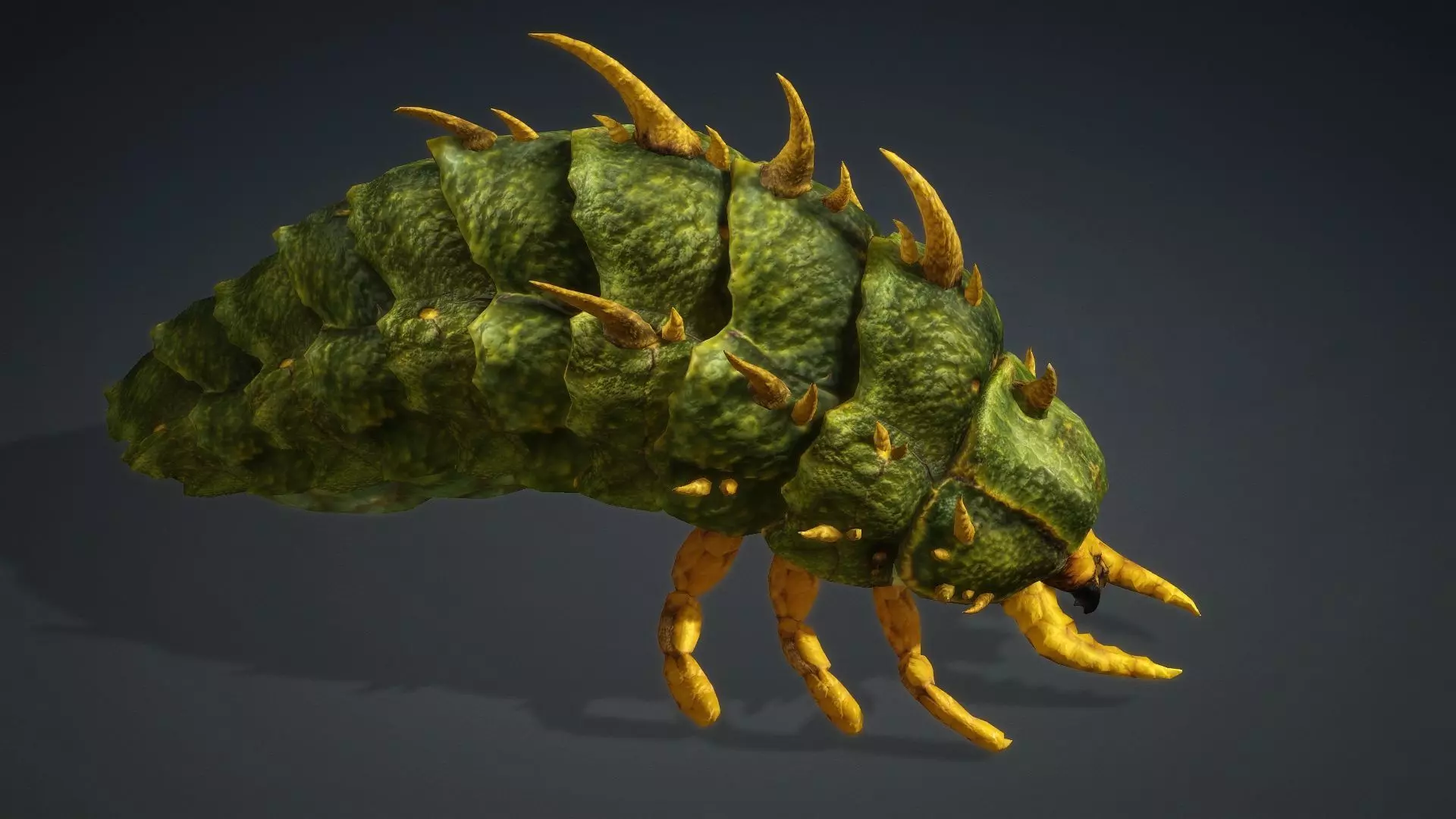 Larval-V2c 3D model_7