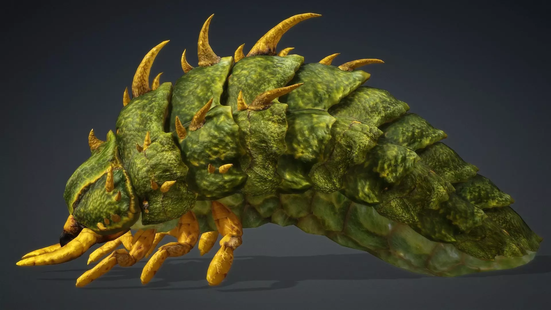 Larval-V2c 3D model_3