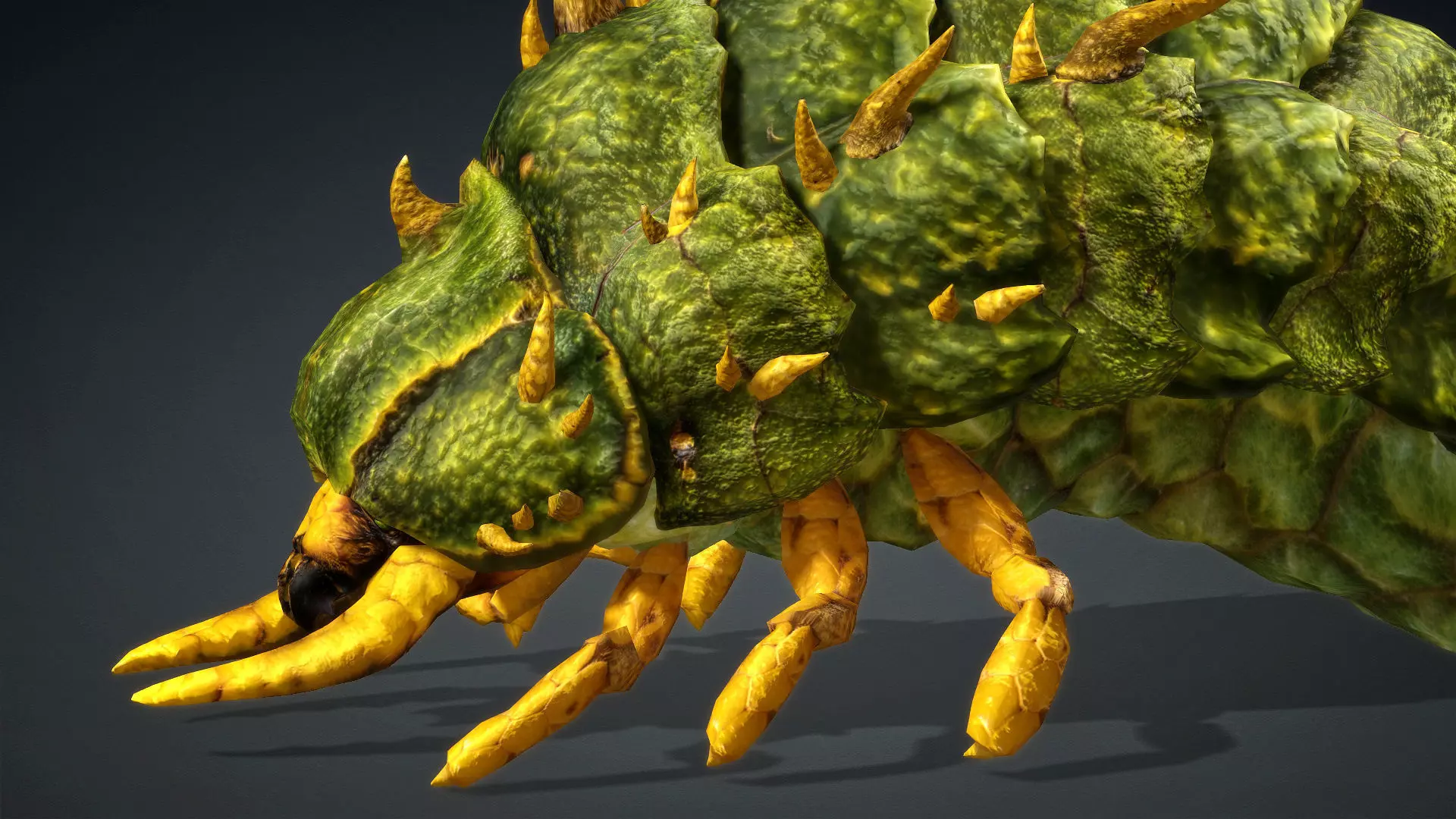 Larval-V2c 3D model_8