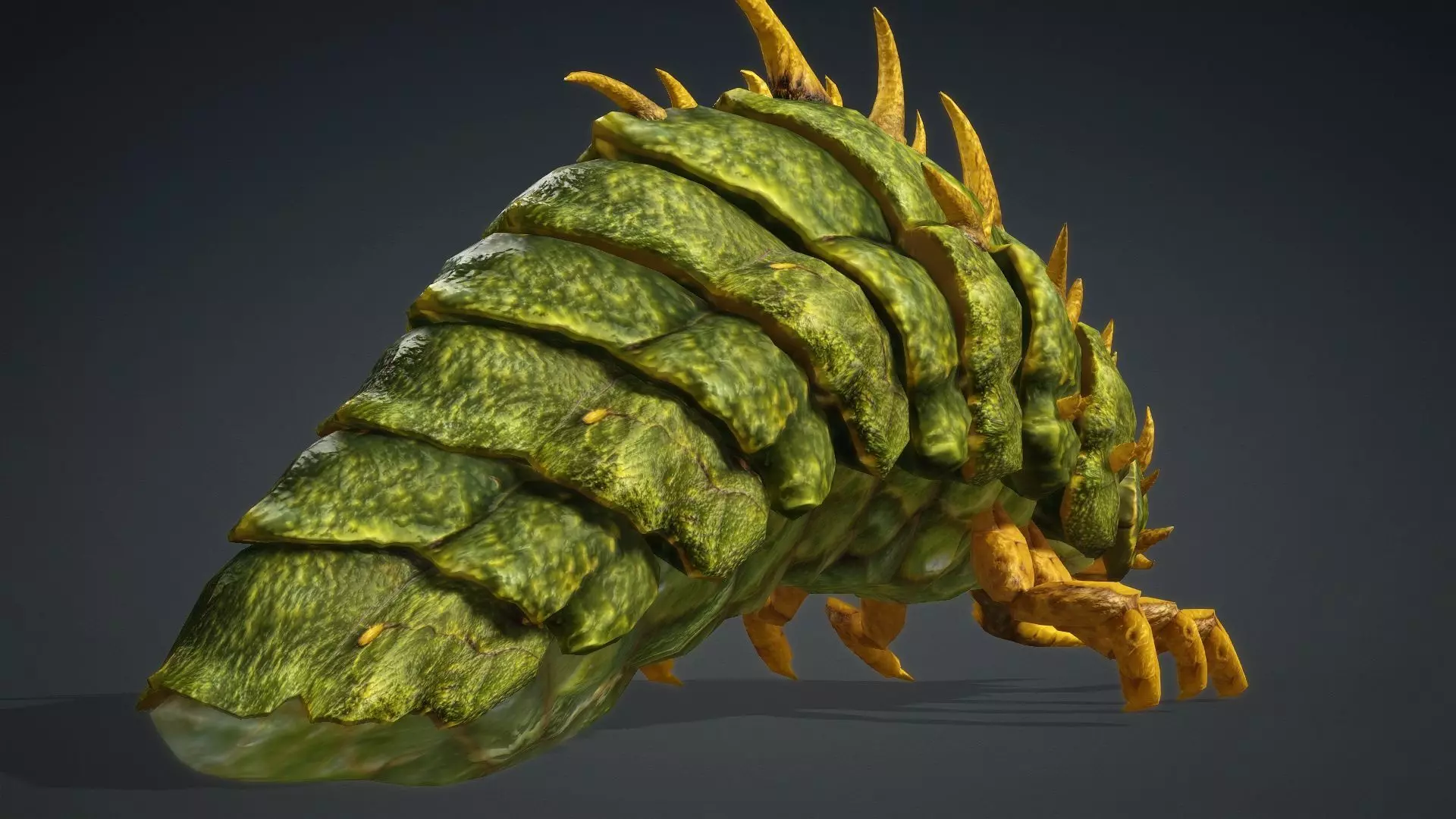 Larval-V2c 3D model_10