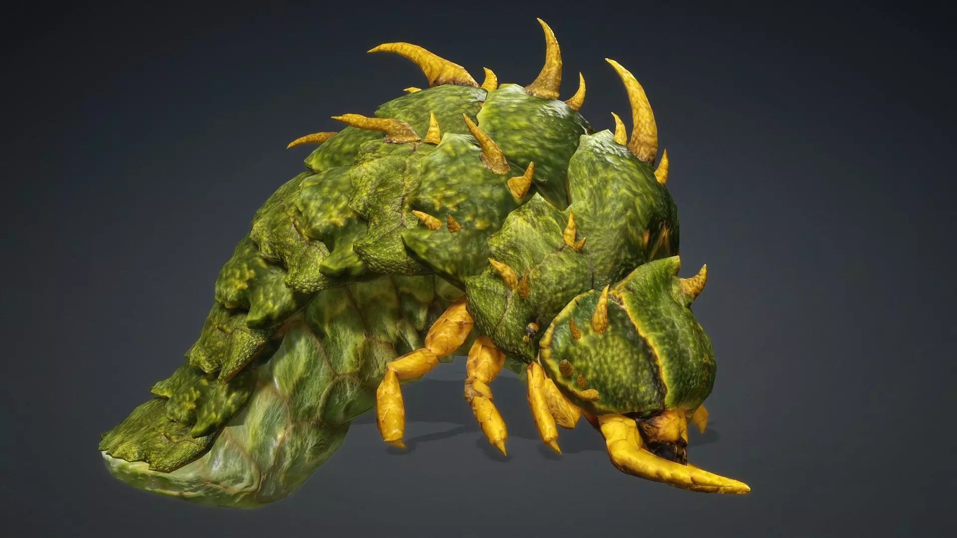 Larval-V2c 3D model_5