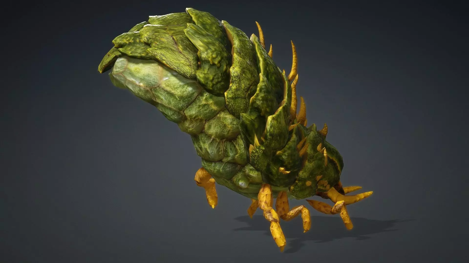 Larval-V2c 3D model_12