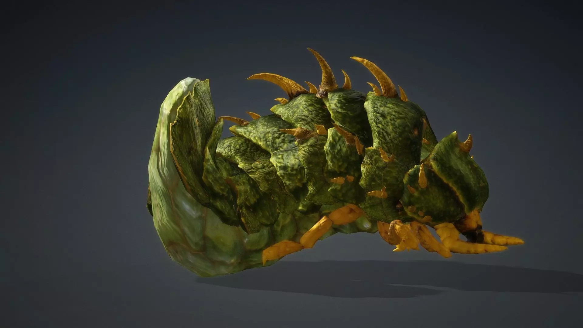 Larval-V2c 3D model_13