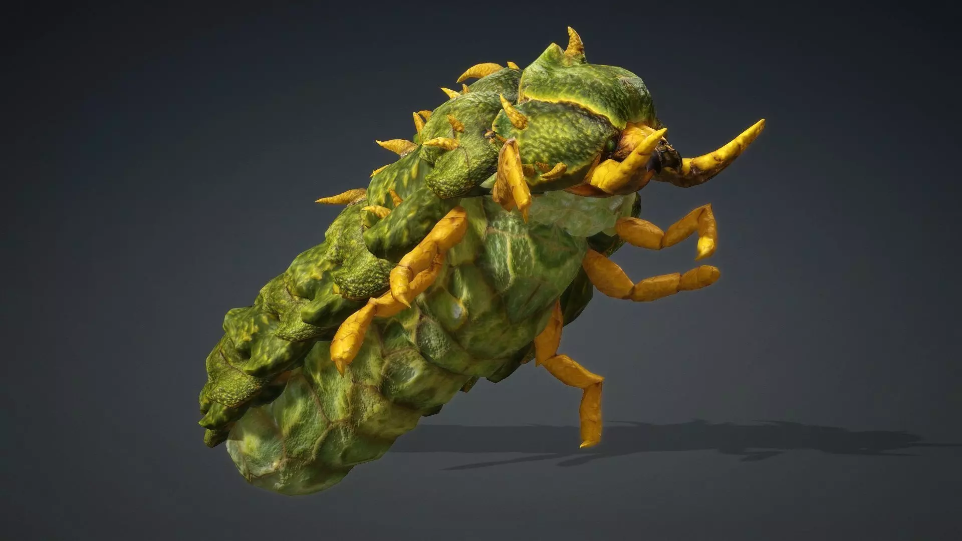 Larval-V2c 3D model_14