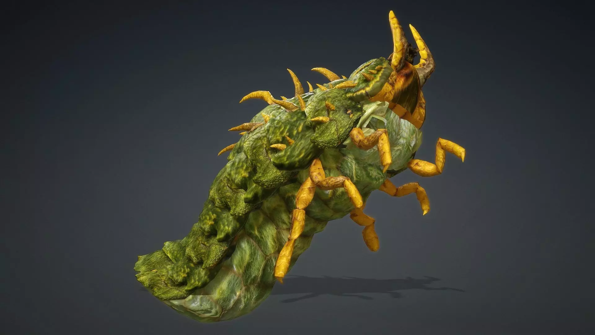 Larval-V2c 3D model_6