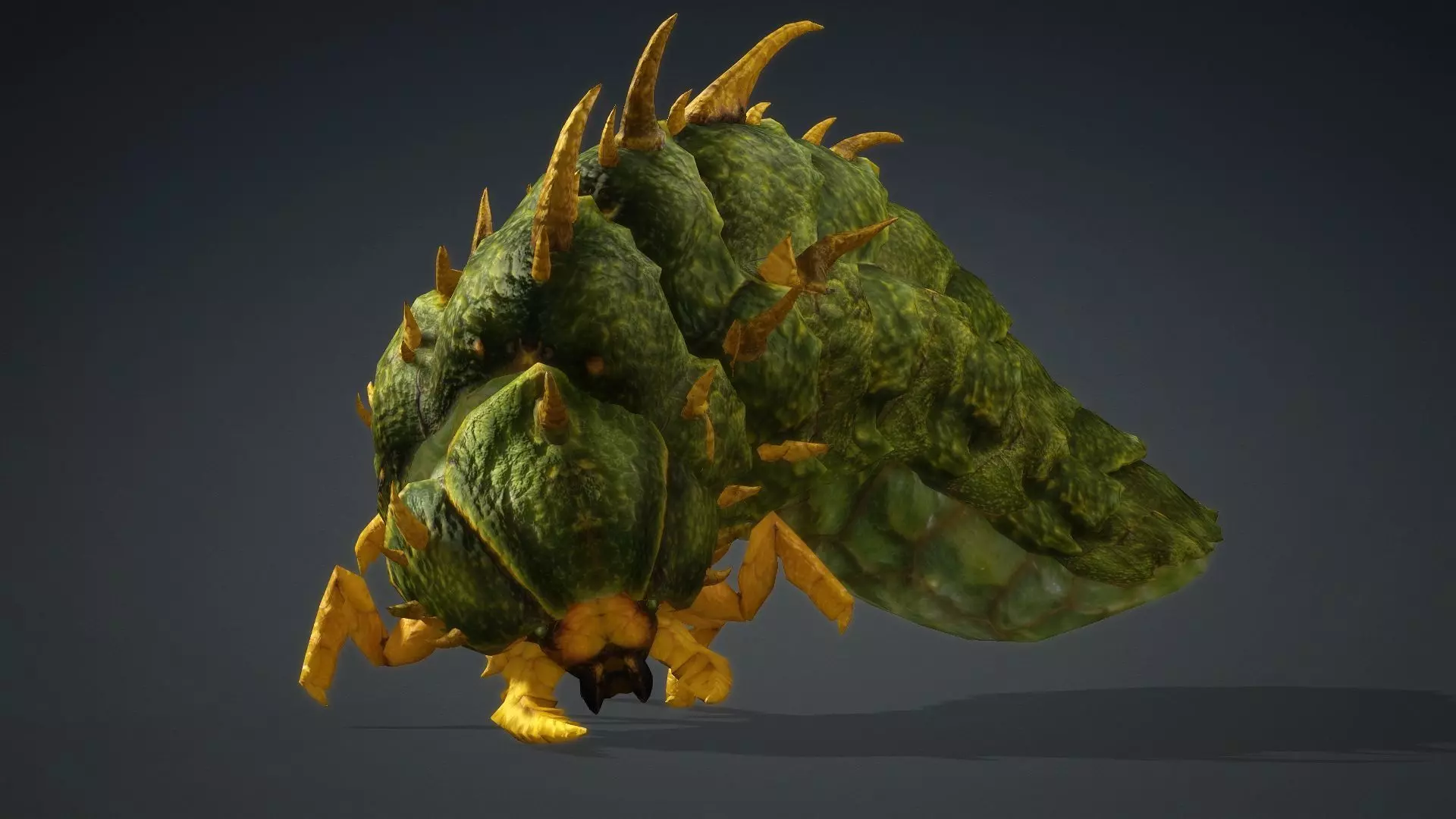 Larval-V2c 3D model_11