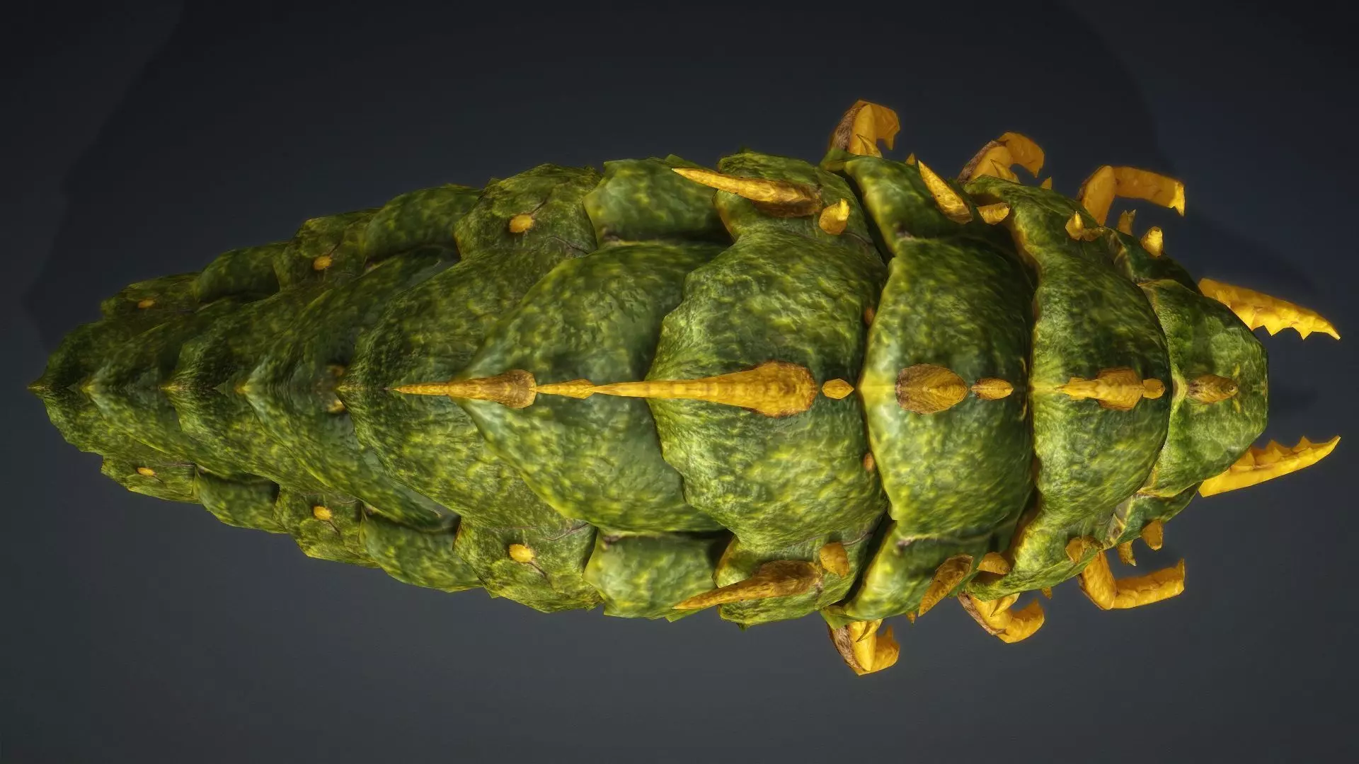 Larval-V2c 3D model_9