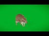Yellow Spotted Rock Hyrax Low-poly 3D model_1