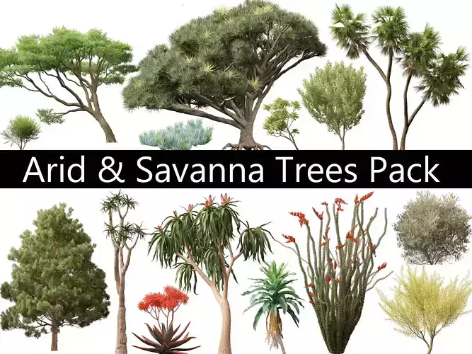 Arid Savanna Trees Pack 24 3D model