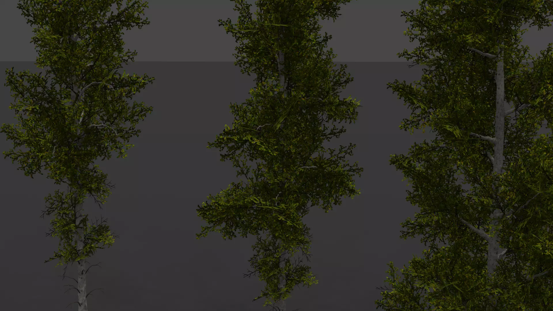 ROBLOX Realistic Birch Tree Forest Pack 01 Low-poly 3D model_15