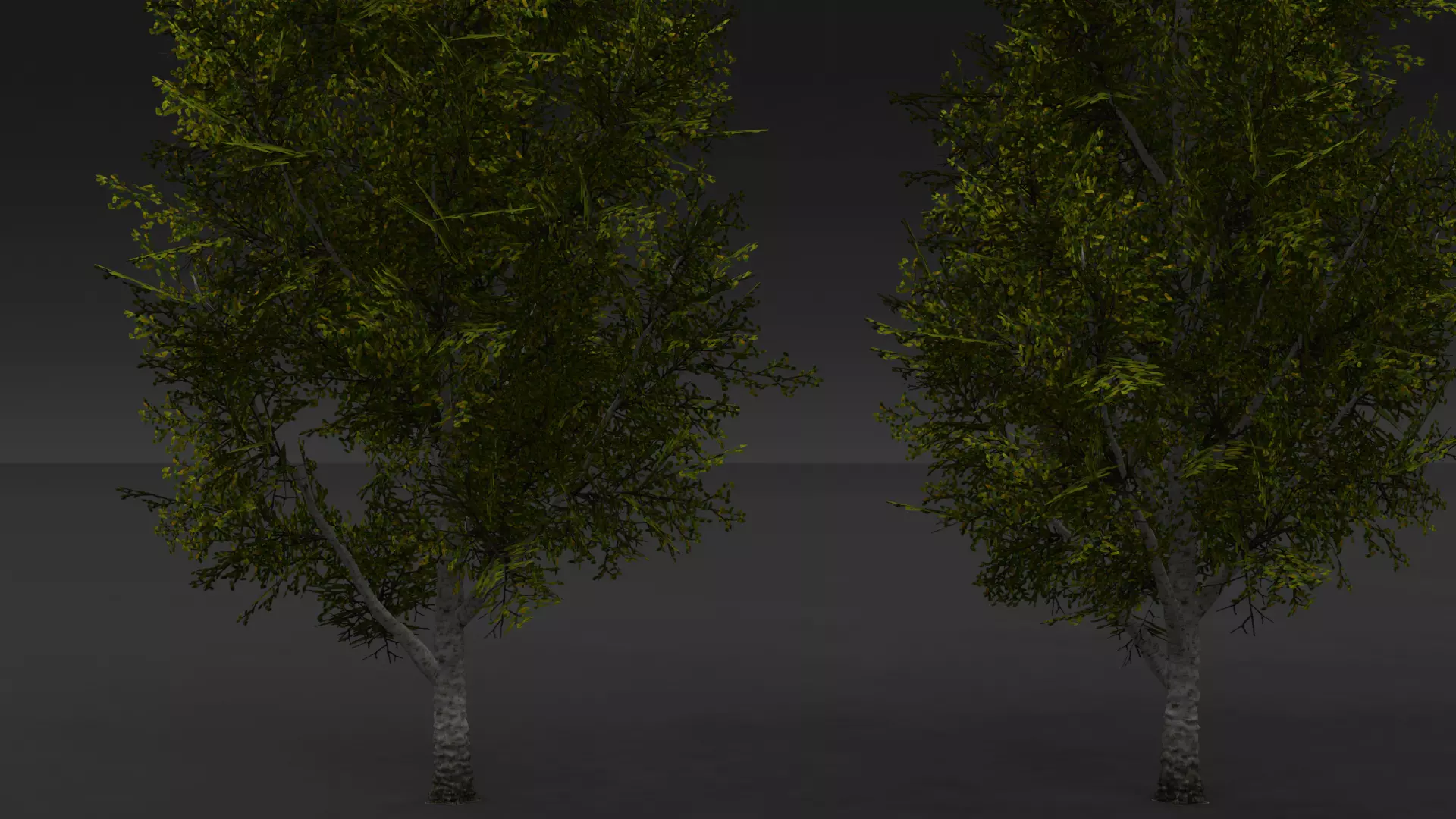 ROBLOX Realistic Birch Tree Forest Pack 01 Low-poly 3D model_10