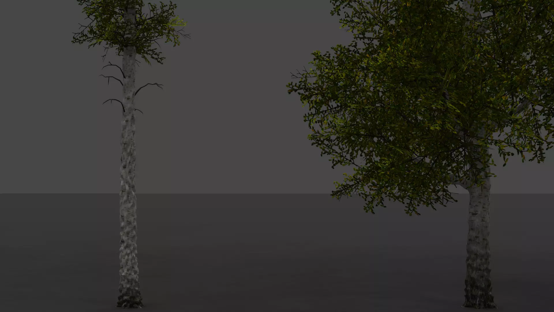 ROBLOX Realistic Birch Tree Forest Pack 01 Low-poly 3D model_12