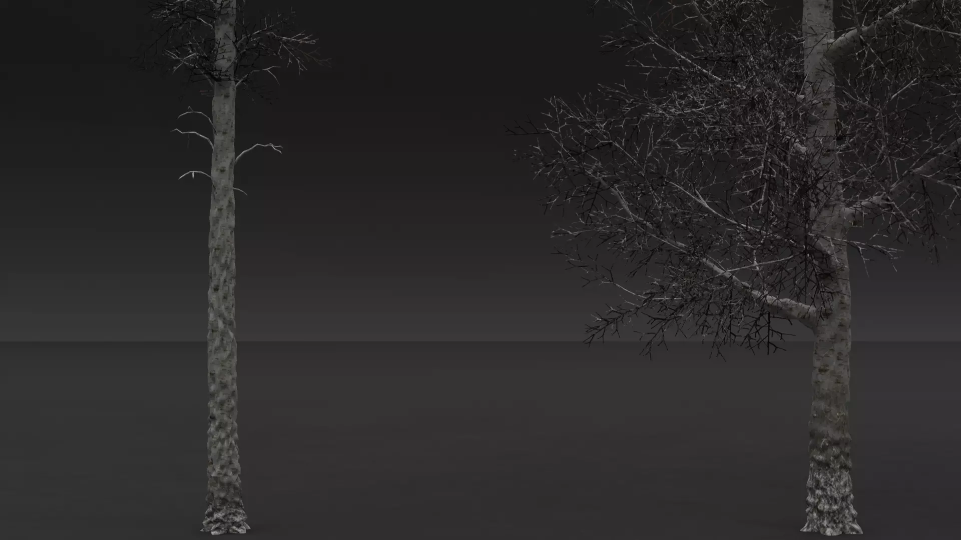 ROBLOX Realistic Birch Tree Forest Pack 01 Low-poly 3D model_14