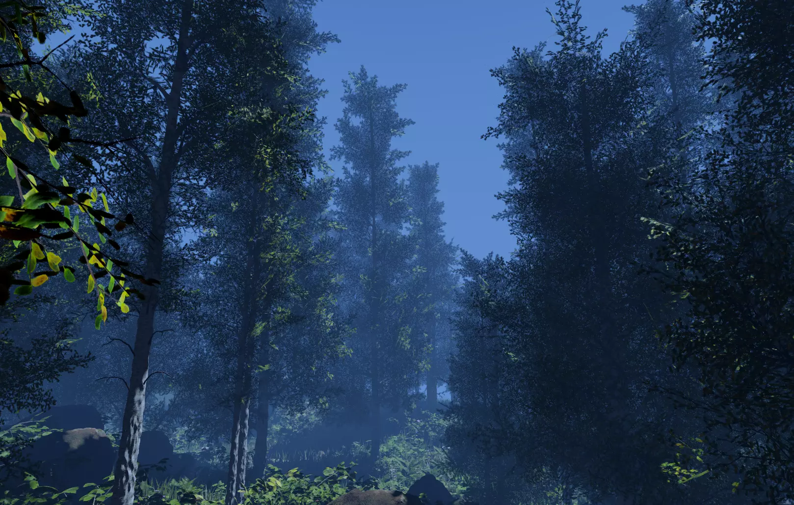 ROBLOX Realistic Birch Tree Forest Pack 01 Low-poly 3D model_3