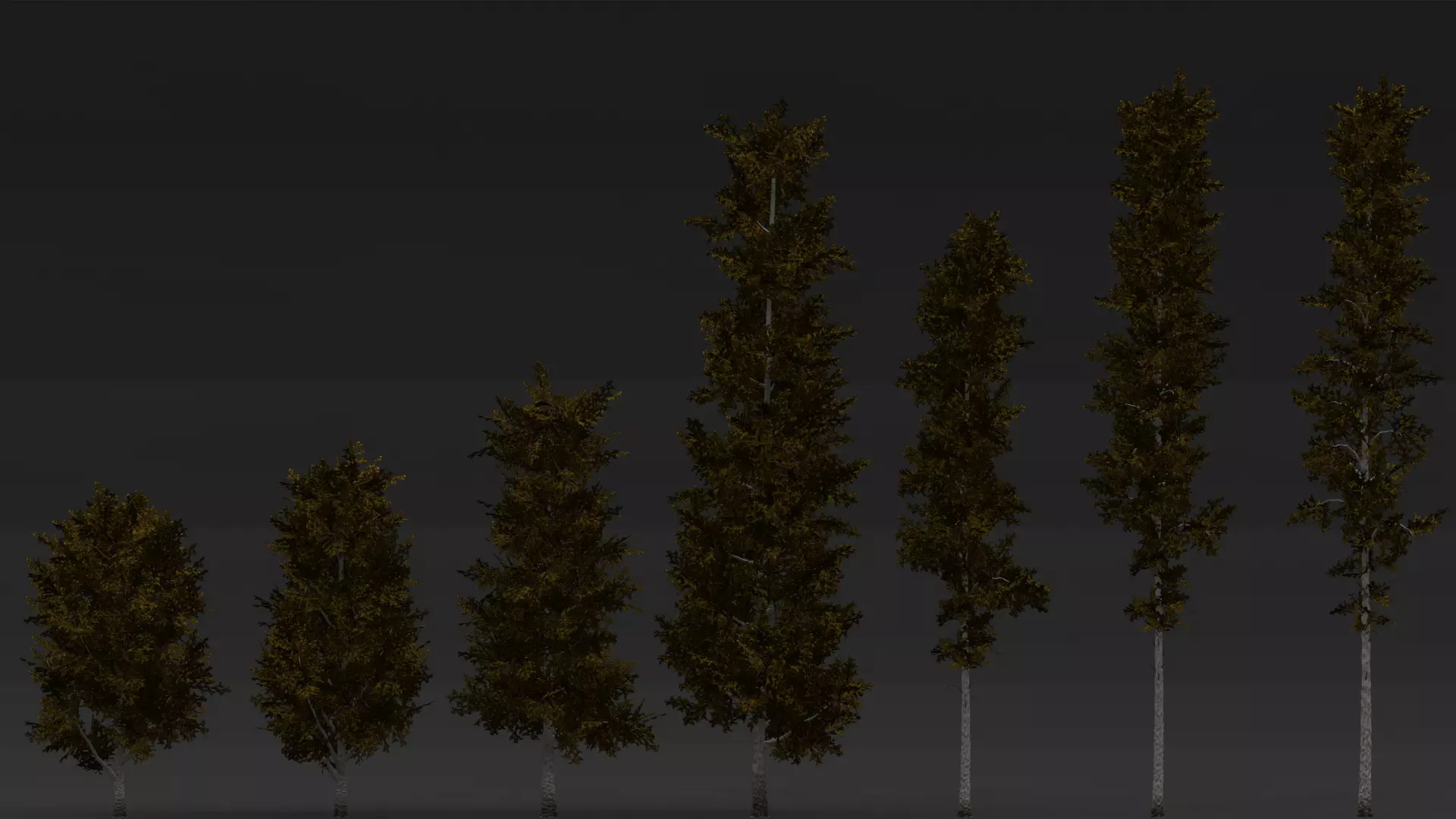 ROBLOX Realistic Birch Tree Forest Pack 01 Low-poly 3D model_7