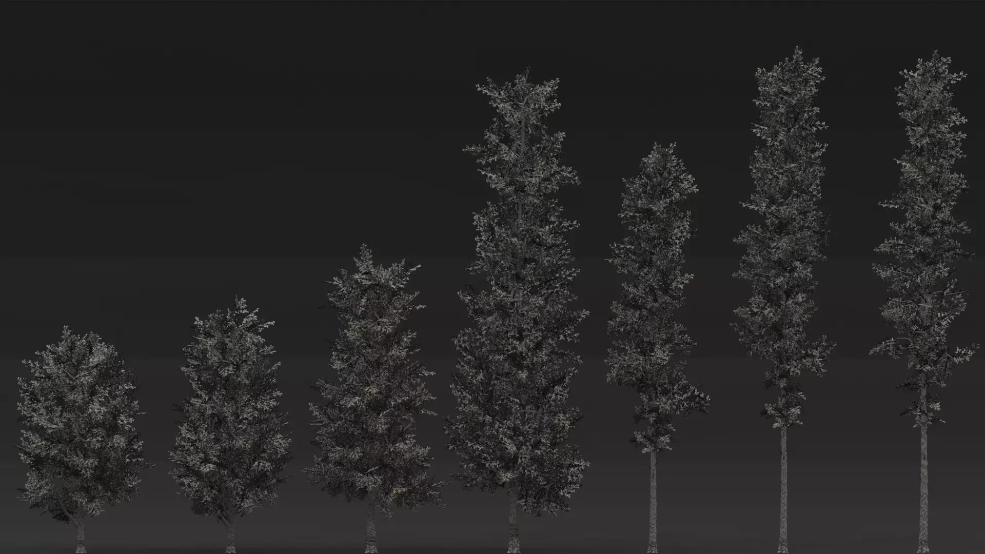 ROBLOX Realistic Birch Tree Forest Pack 01 Low-poly 3D model_8