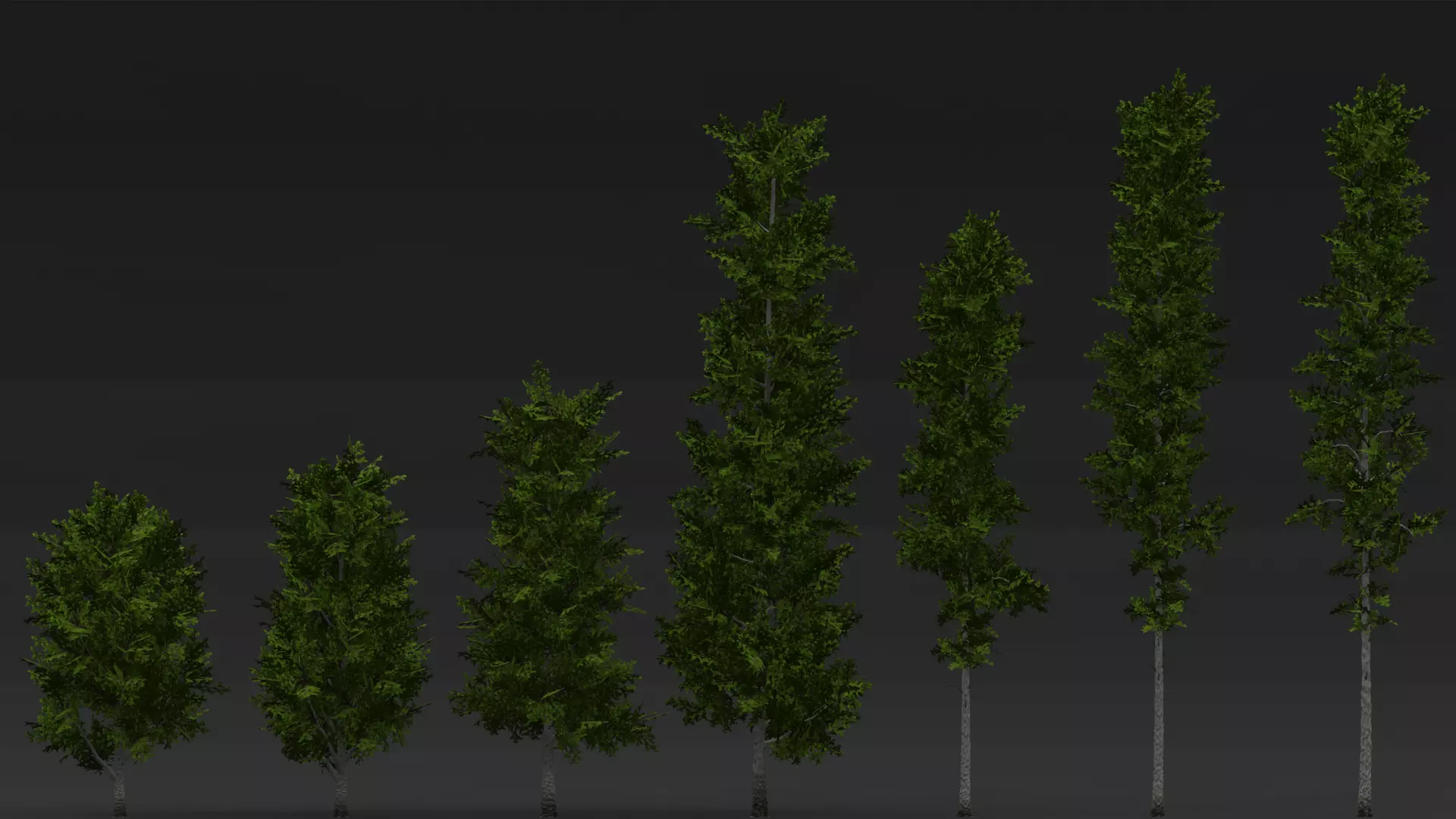 ROBLOX Realistic Birch Tree Forest Pack 01 Low-poly 3D model_5