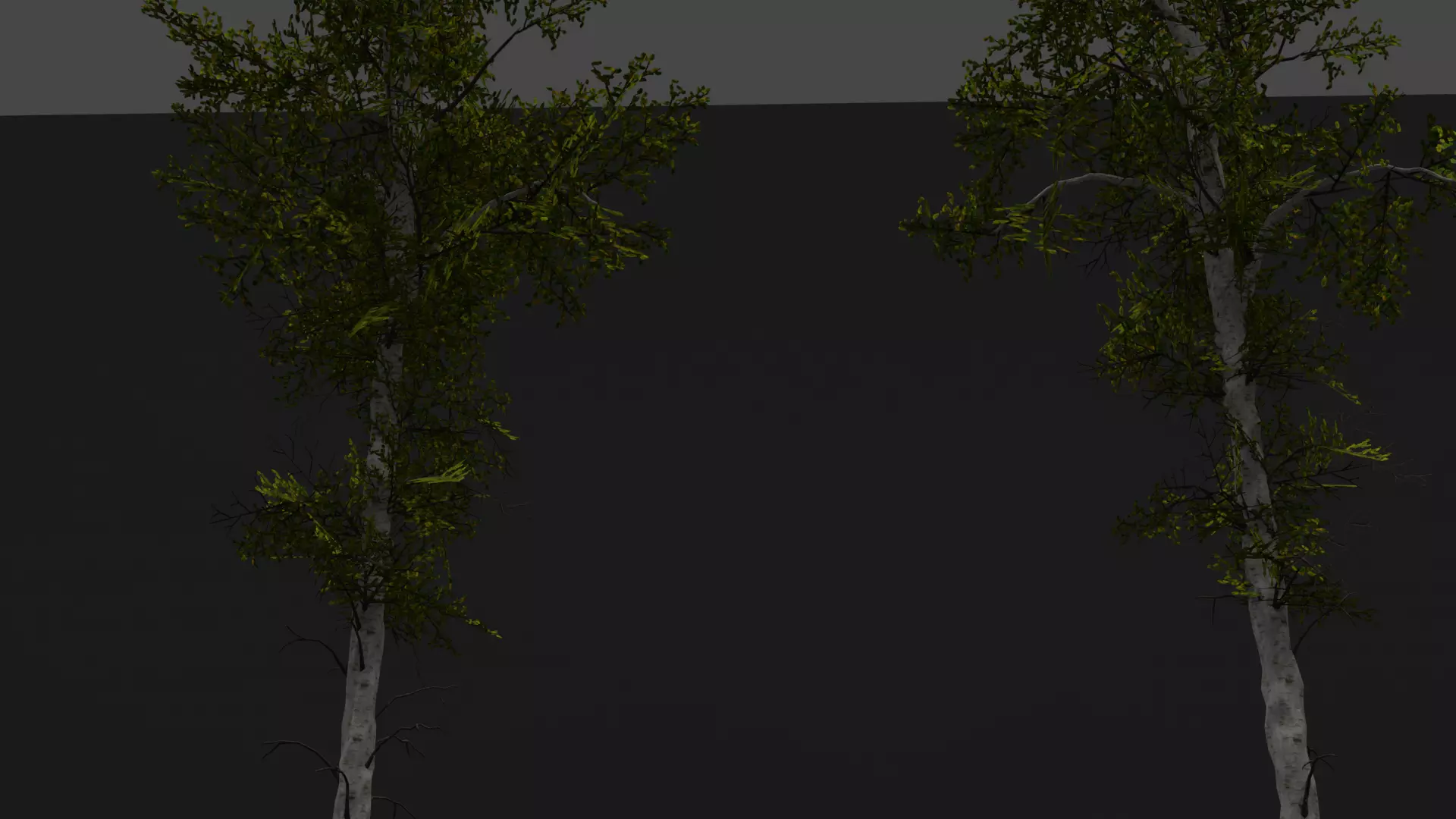 ROBLOX Realistic Birch Tree Forest Pack 01 Low-poly 3D model_11