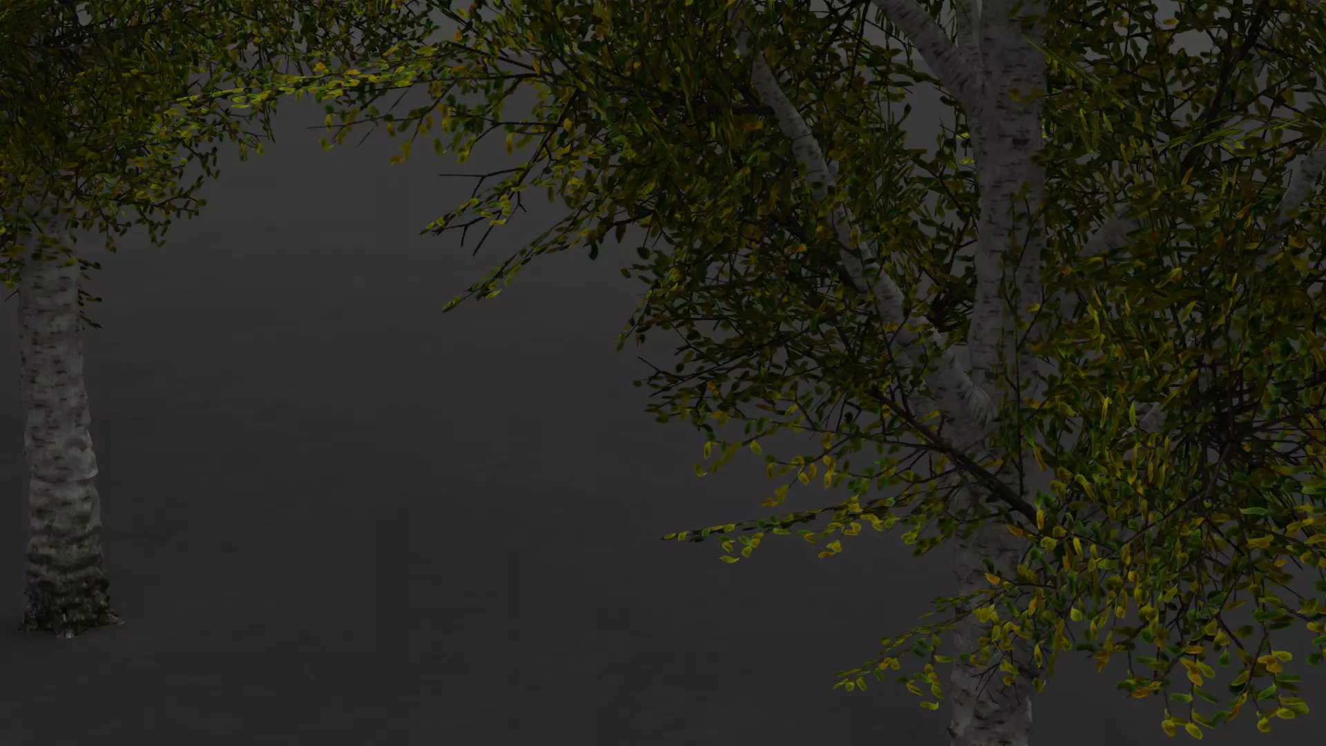 ROBLOX Realistic Birch Tree Forest Pack 01 Low-poly 3D model_17