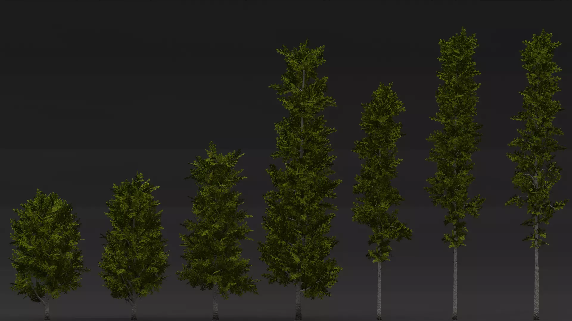 ROBLOX Realistic Birch Tree Forest Pack 01 Low-poly 3D model_6
