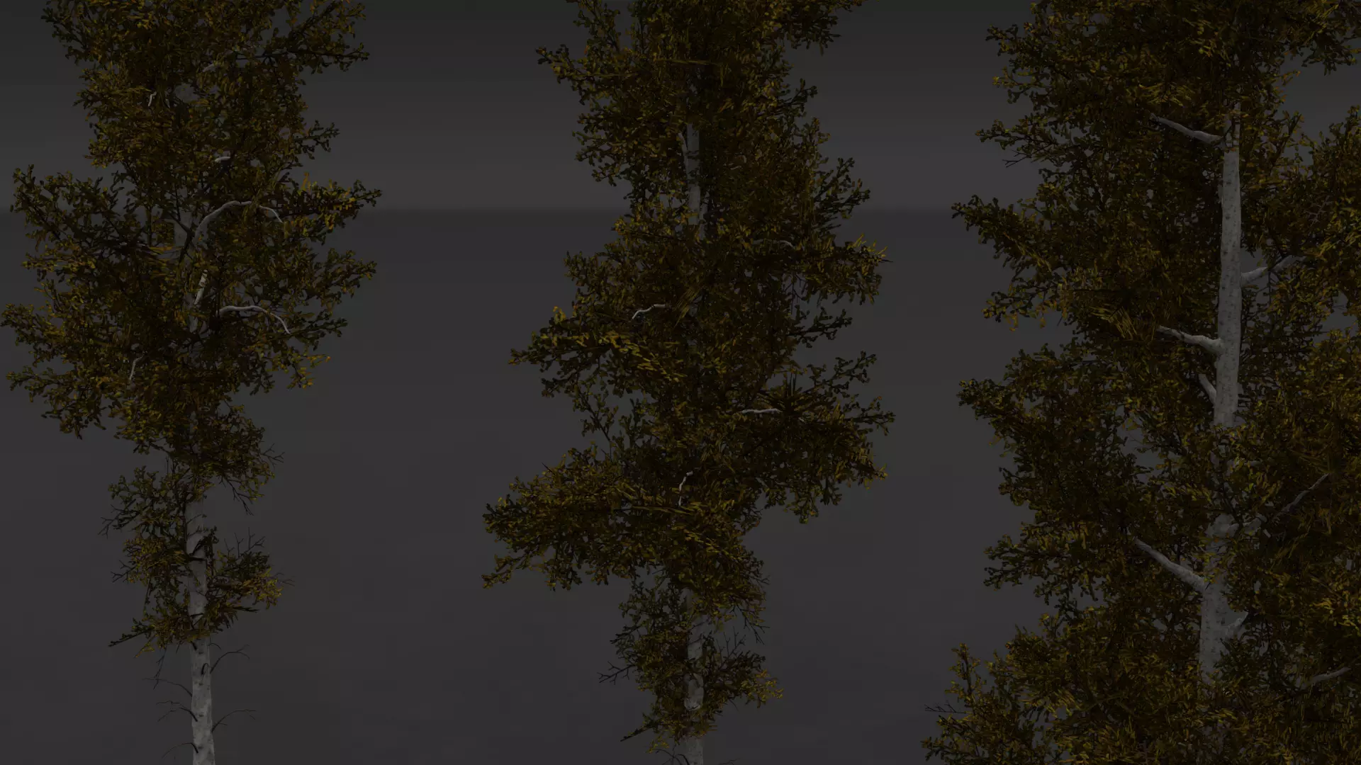 ROBLOX Realistic Birch Tree Forest Pack 01 Low-poly 3D model_16