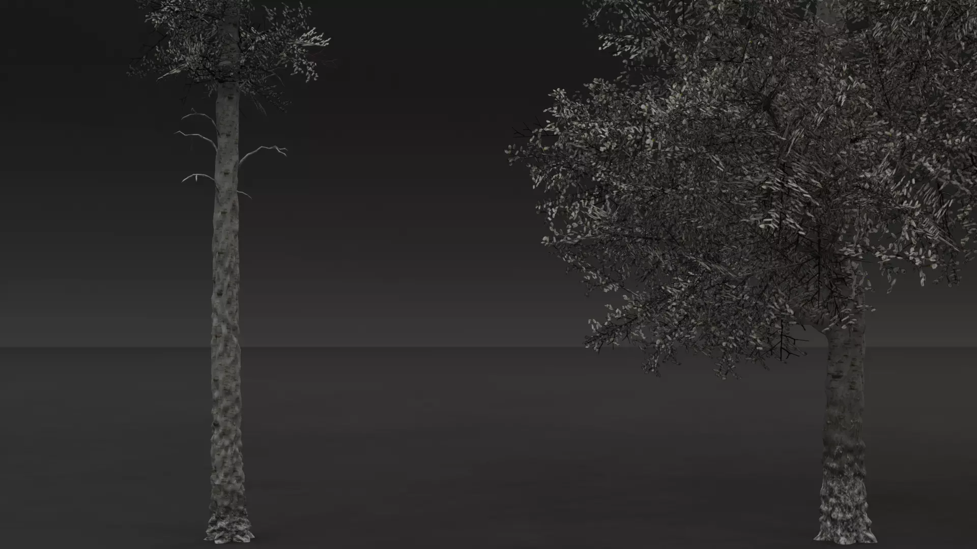 ROBLOX Realistic Birch Tree Forest Pack 01 Low-poly 3D model_13