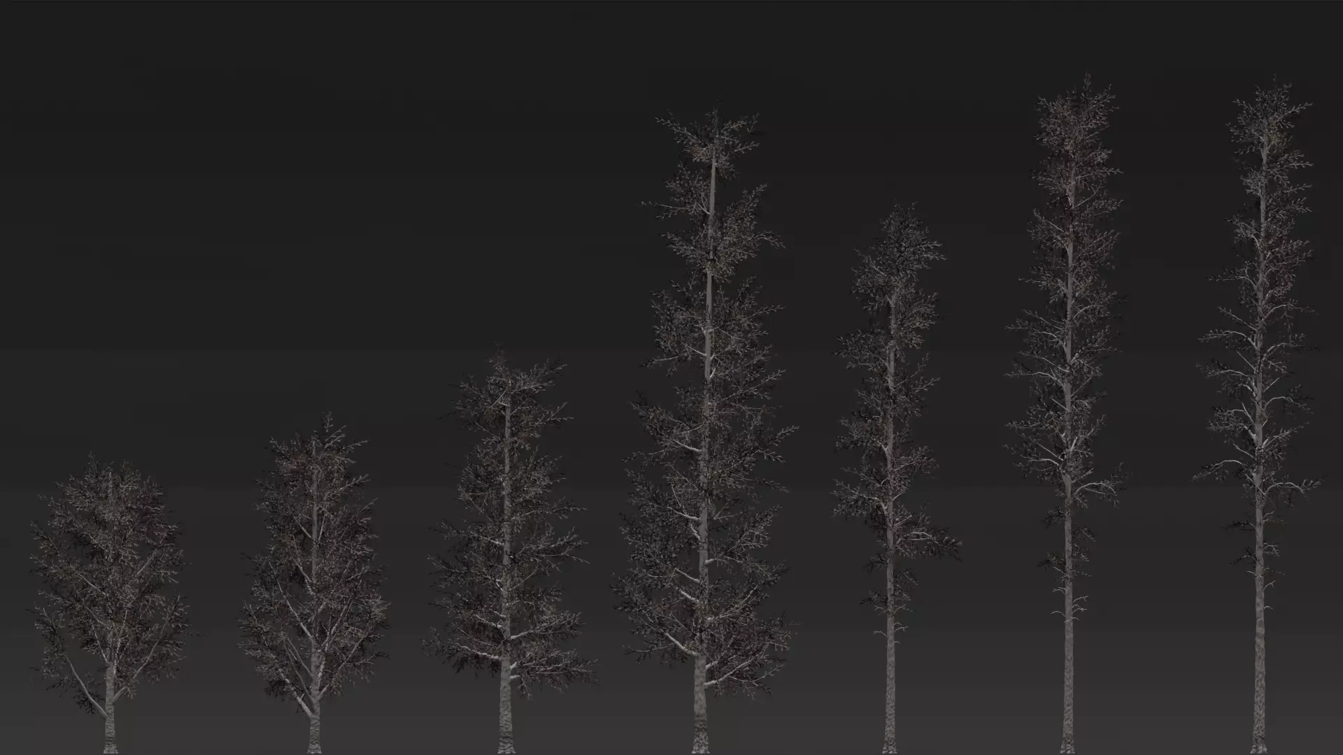 ROBLOX Realistic Birch Tree Forest Pack 01 Low-poly 3D model_9