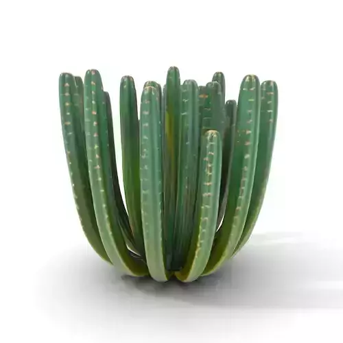 Emerald Cactus Collection model pack Low-poly 3D model