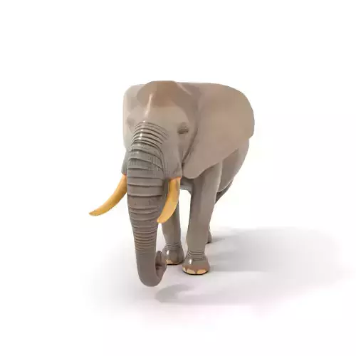 Majestic Elephant model pack Low-poly 3D model