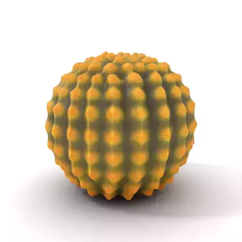 Golden Barrel Cactus model pack Low-poly 3D model