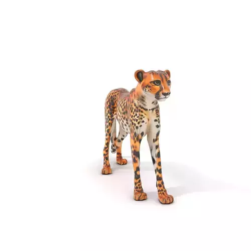 Majestic Cheetah model pack Low-poly 3D model