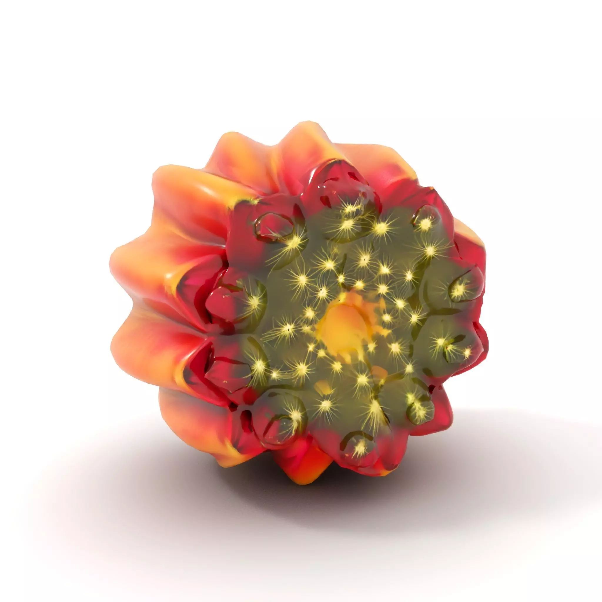 Starburst Cactus model pack Low-poly 3D model_6