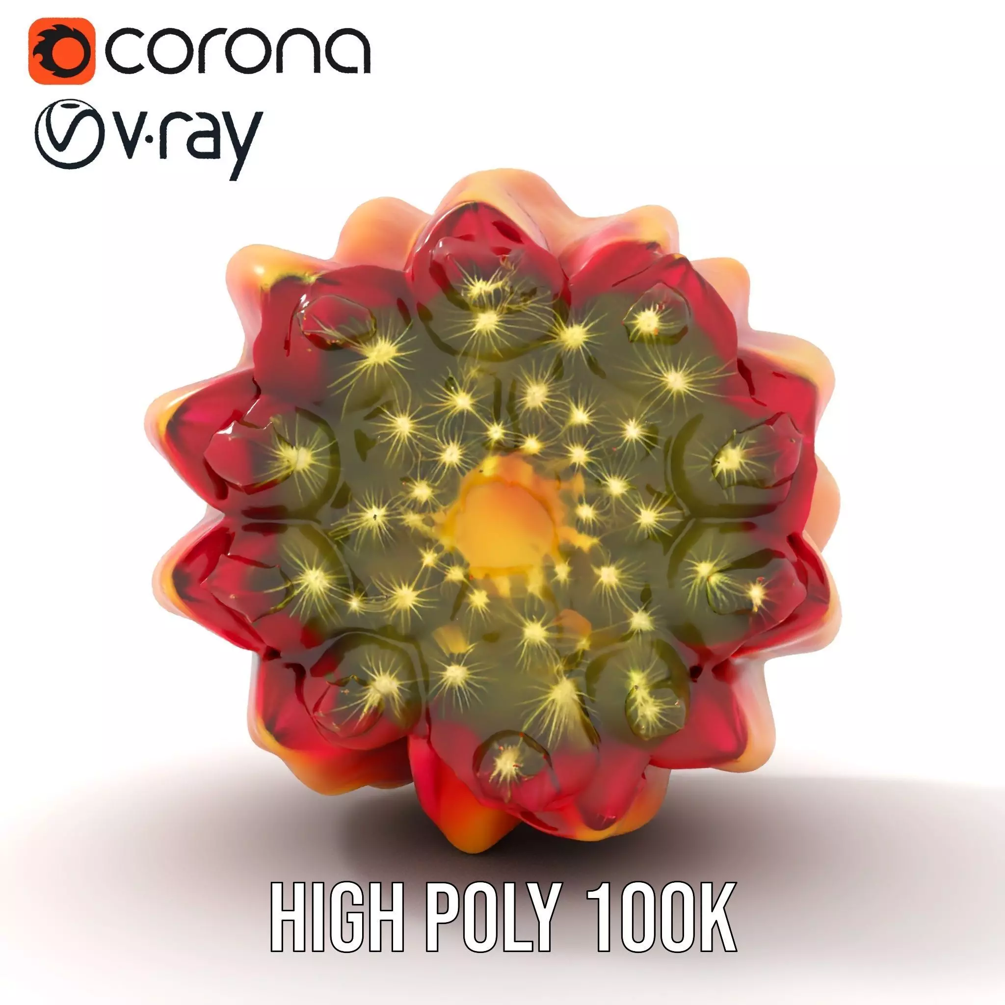 Starburst Cactus model pack Low-poly 3D model_18