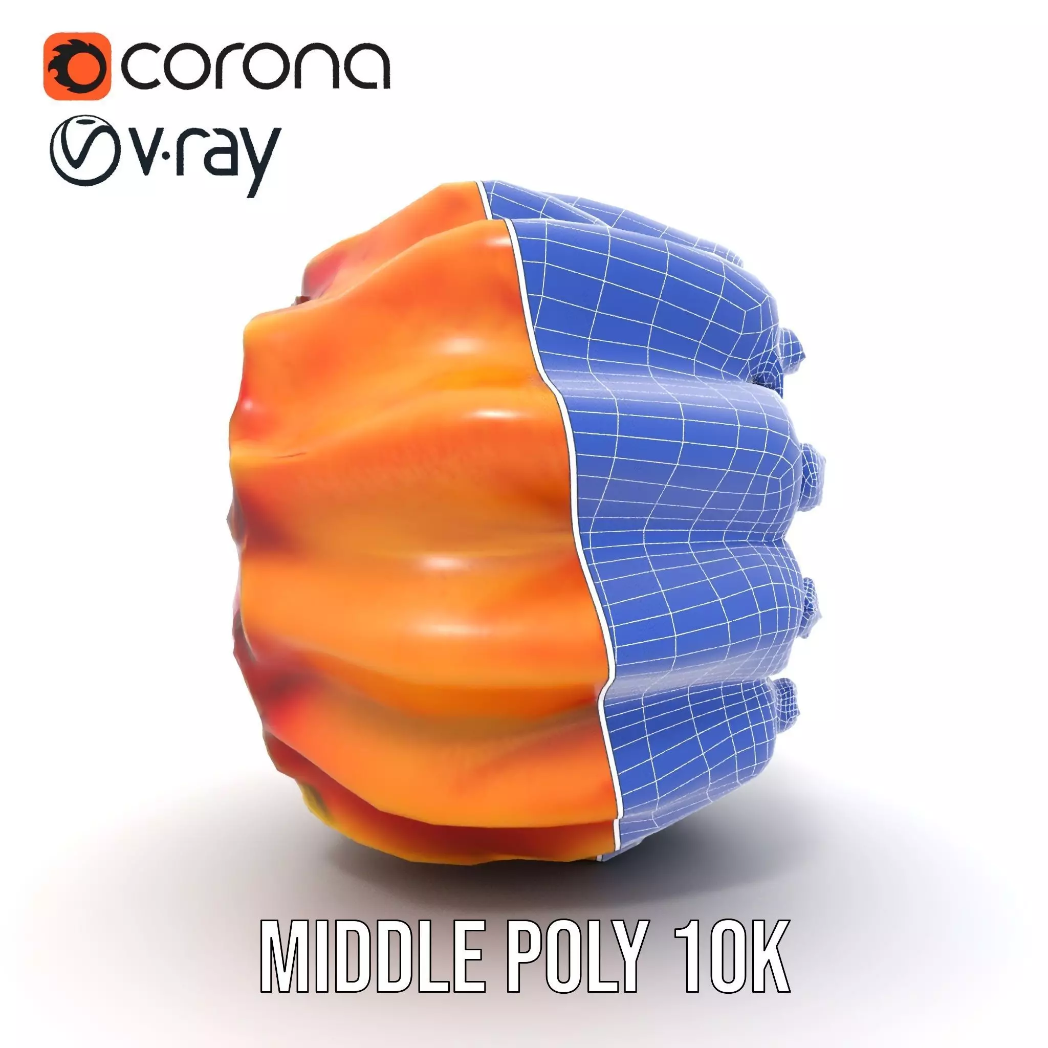 Starburst Cactus model pack Low-poly 3D model_30