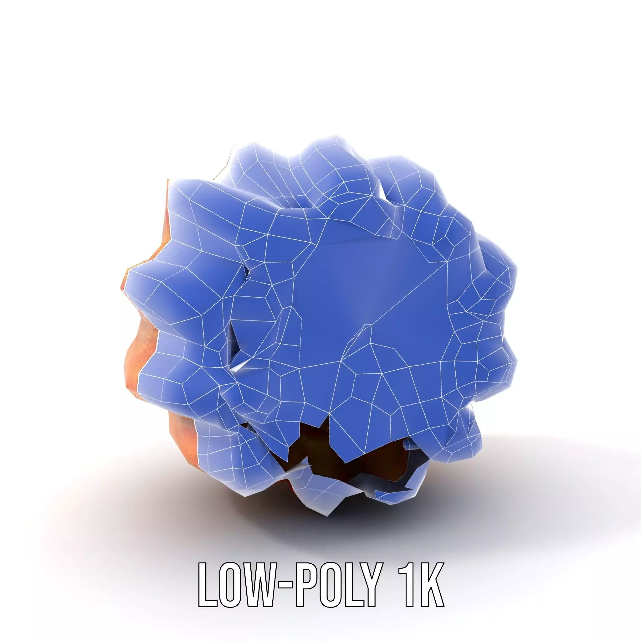 Starburst Cactus model pack Low-poly 3D model_20