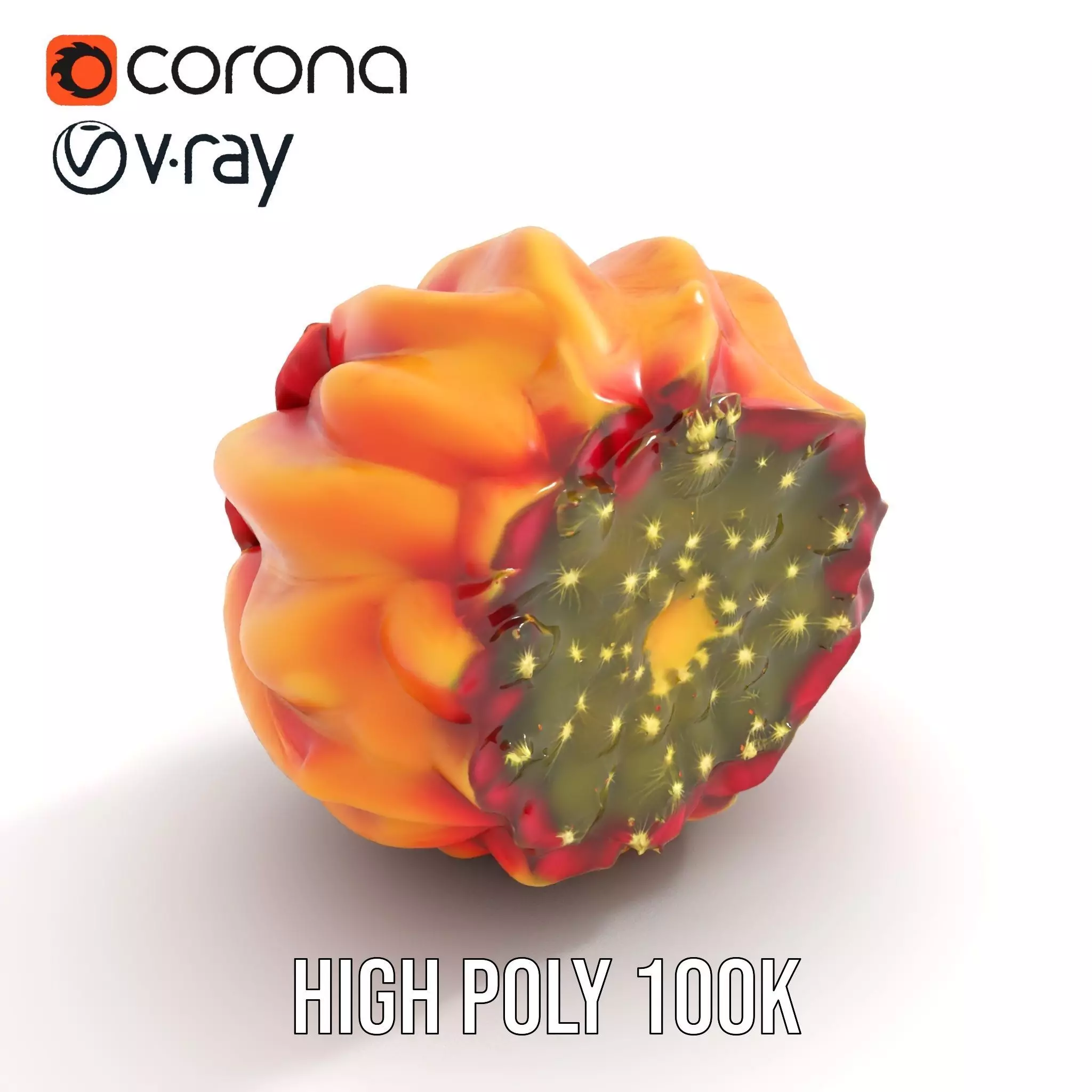 Starburst Cactus model pack Low-poly 3D model_15