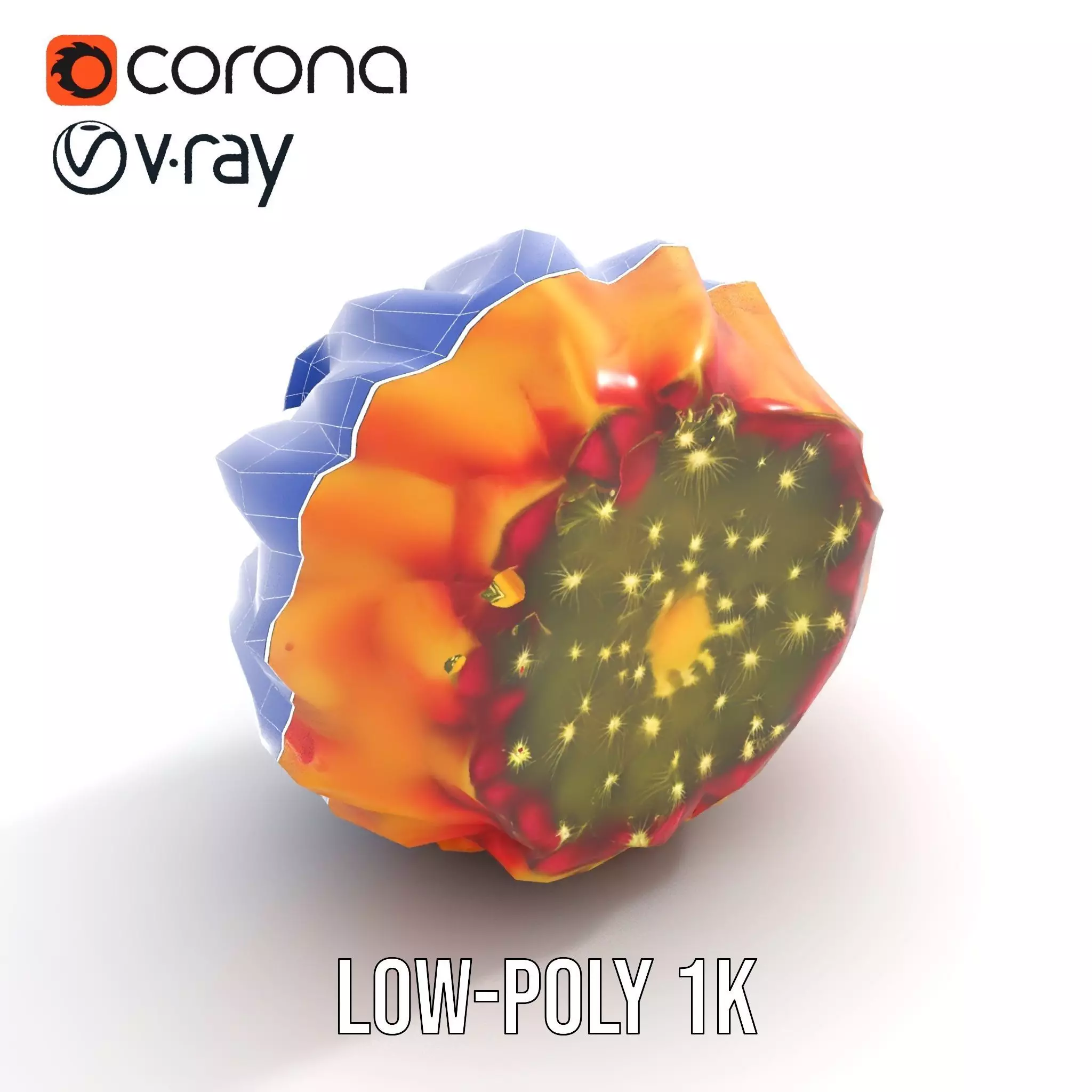 Starburst Cactus model pack Low-poly 3D model_23