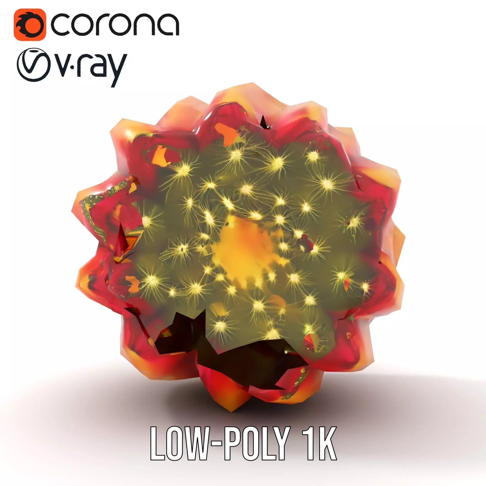 Starburst Cactus model pack Low-poly 3D model_12