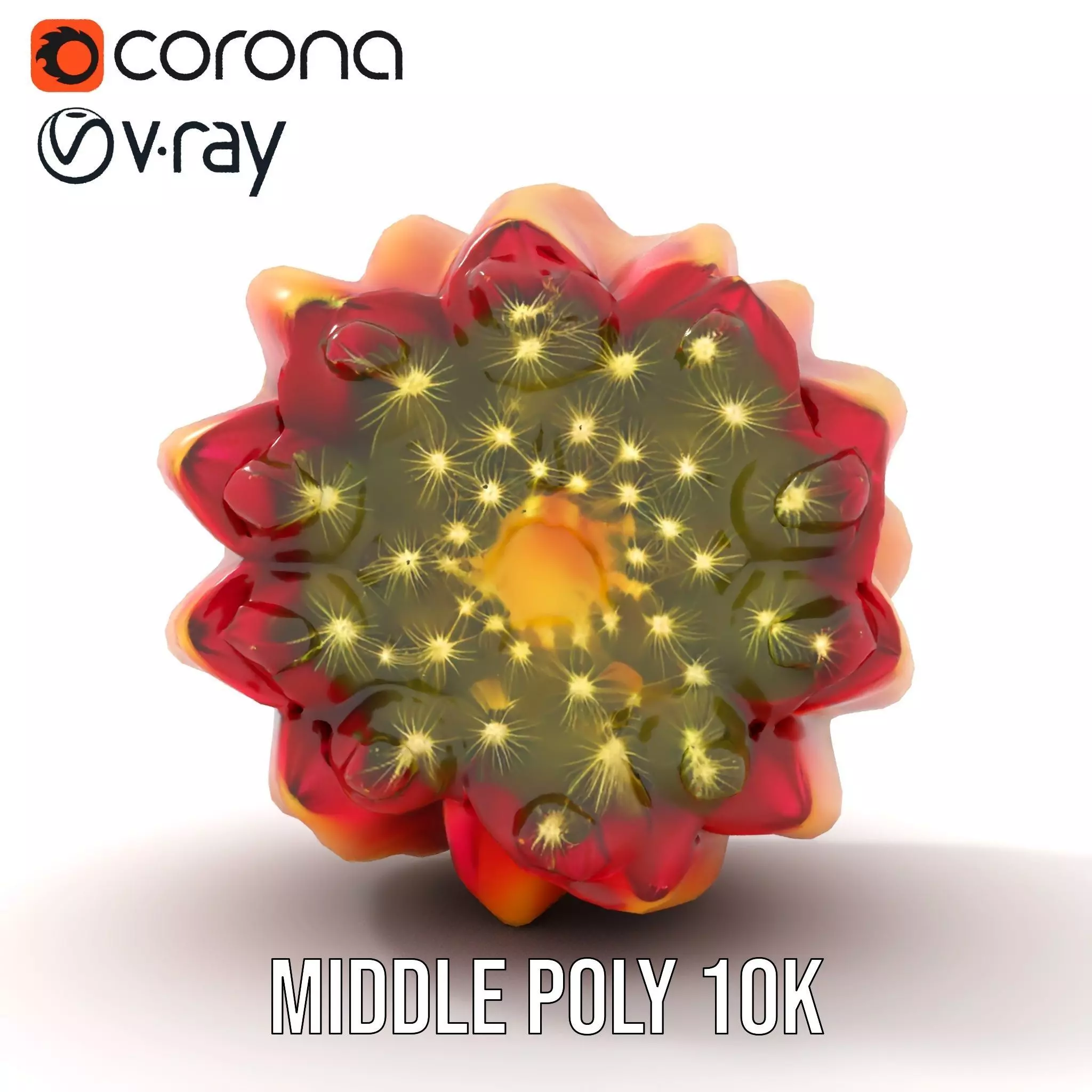 Starburst Cactus model pack Low-poly 3D model_22