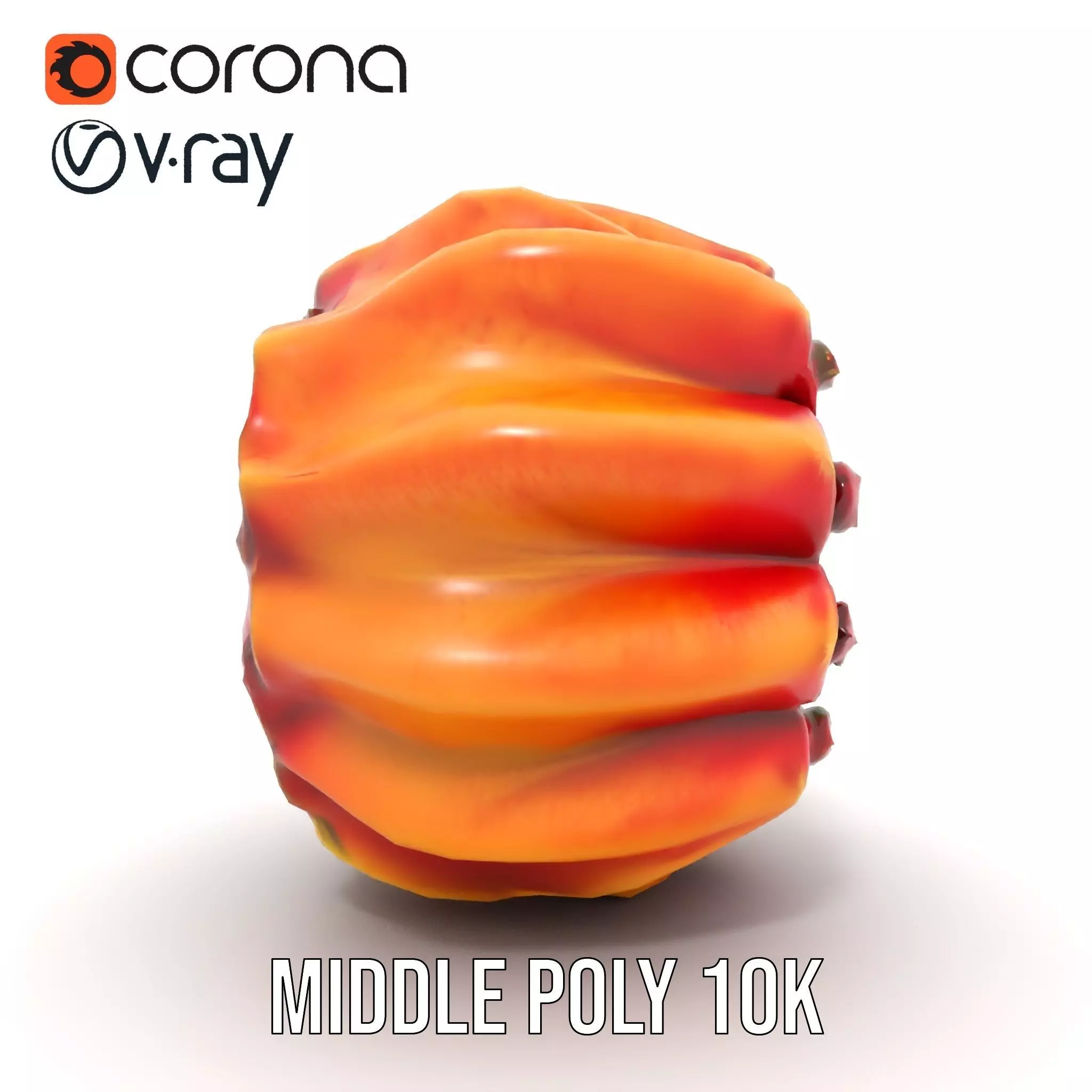 Starburst Cactus model pack Low-poly 3D model_24