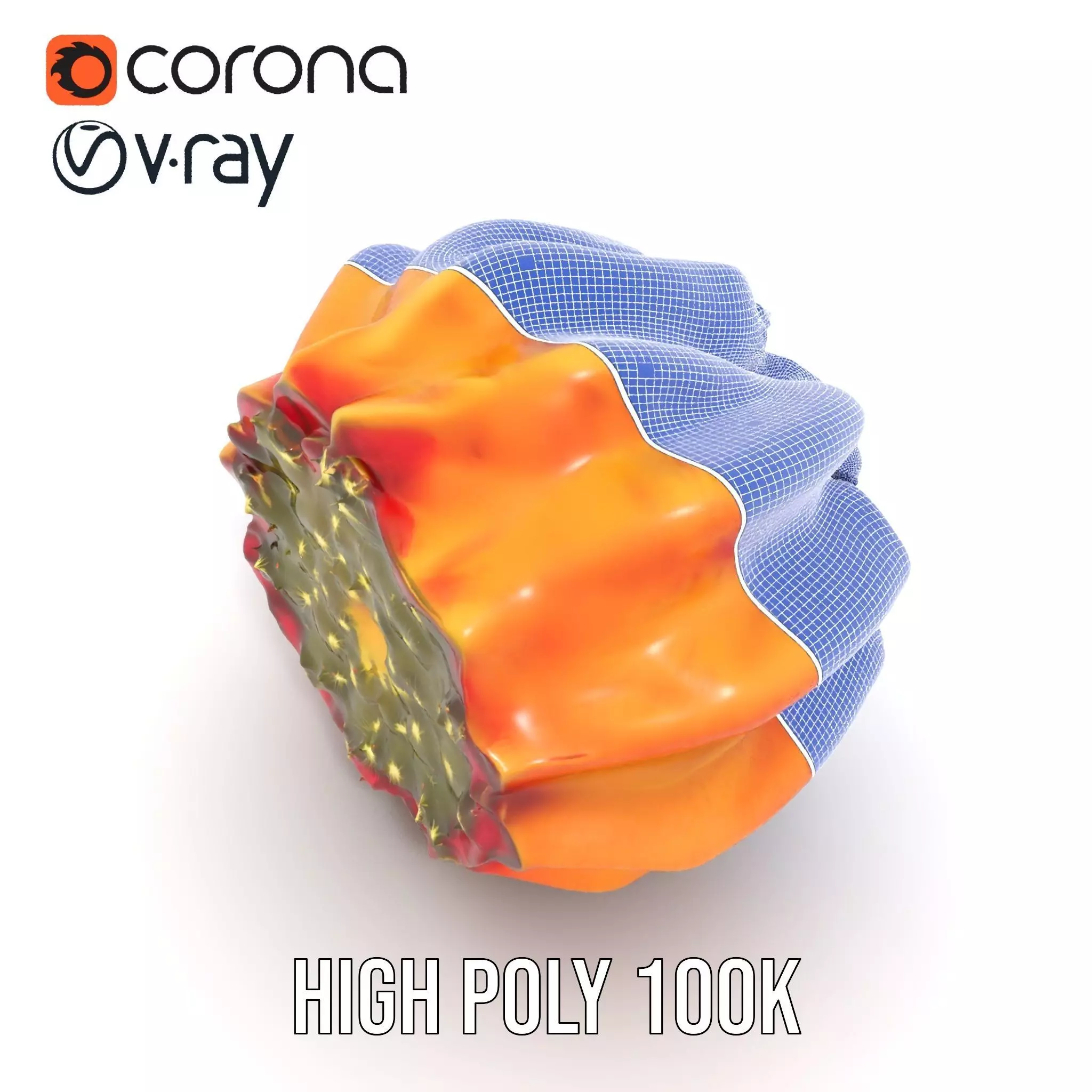 Starburst Cactus model pack Low-poly 3D model_29