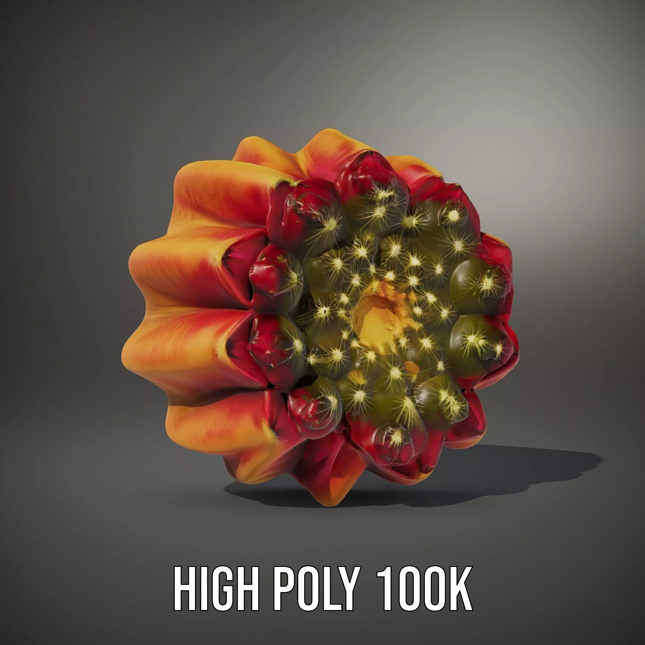Starburst Cactus model pack Low-poly 3D model_8