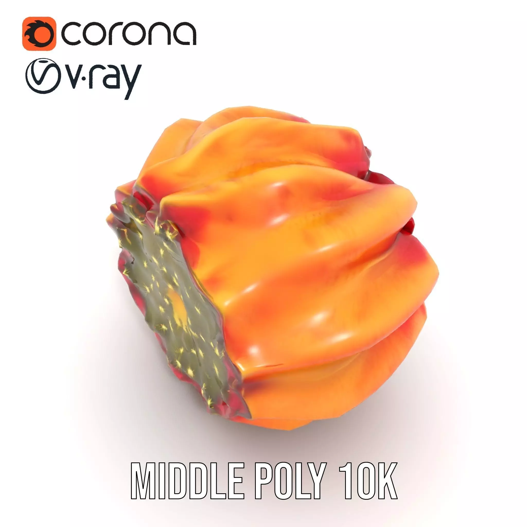 Starburst Cactus model pack Low-poly 3D model_11