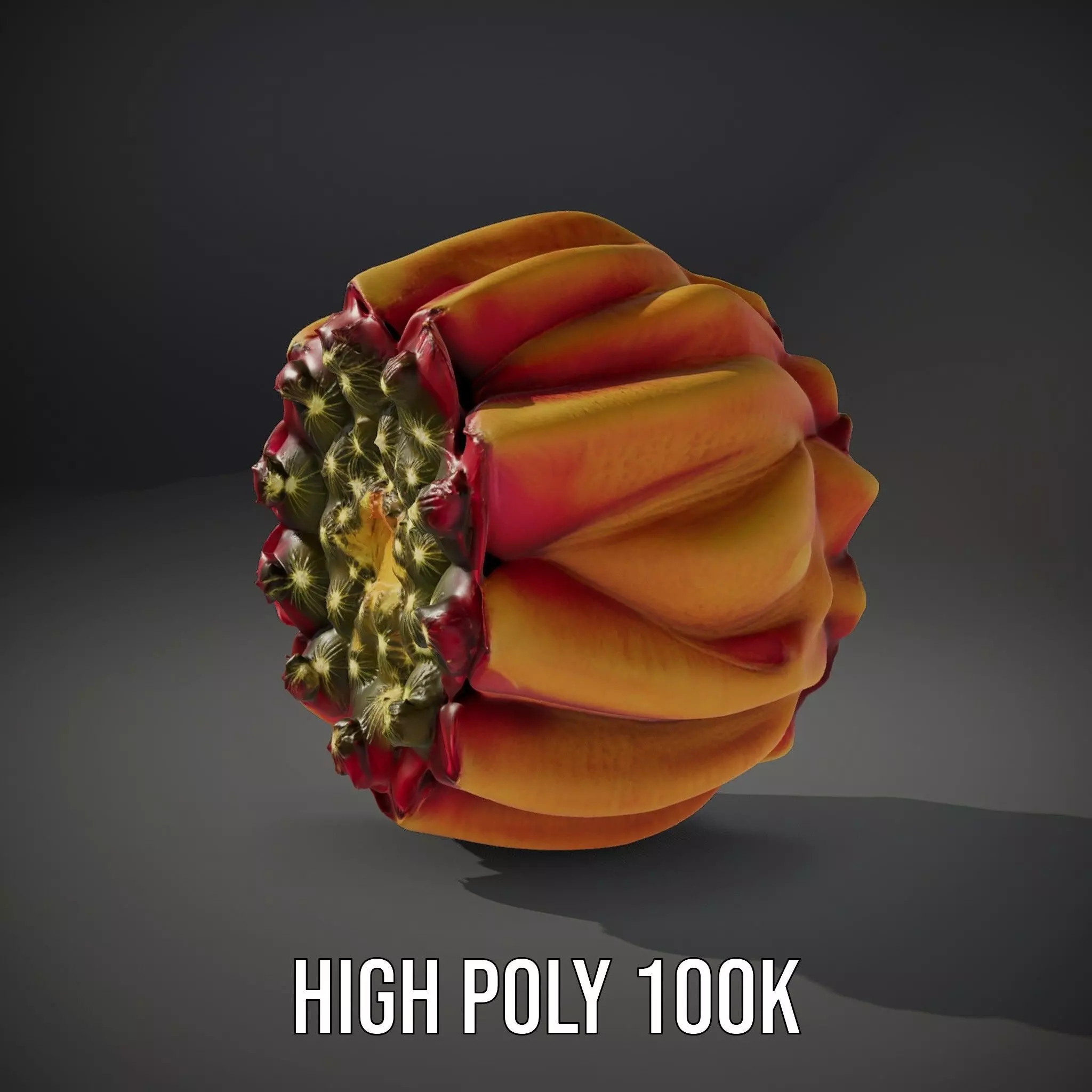 Starburst Cactus model pack Low-poly 3D model_10