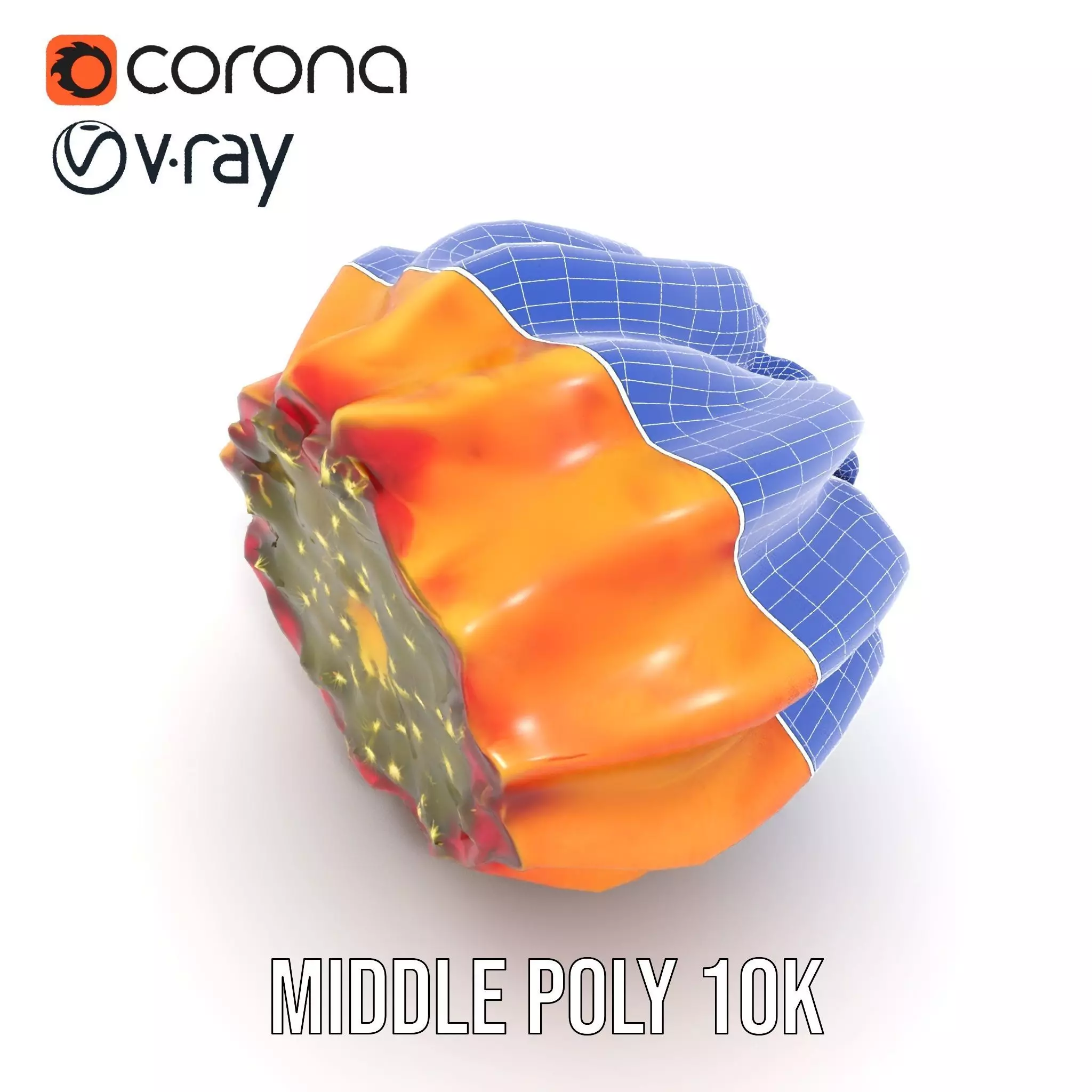 Starburst Cactus model pack Low-poly 3D model_16