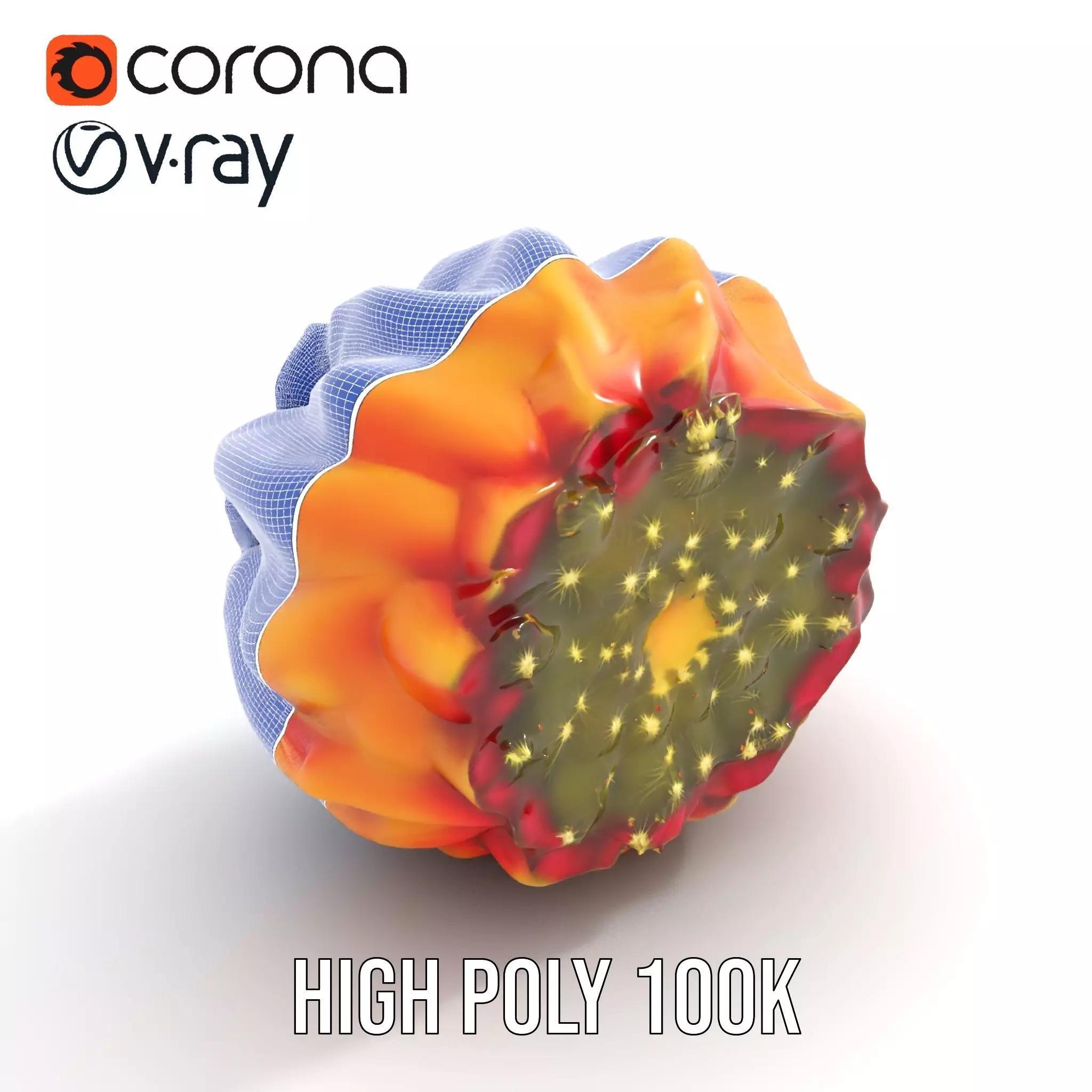 Starburst Cactus model pack Low-poly 3D model_33