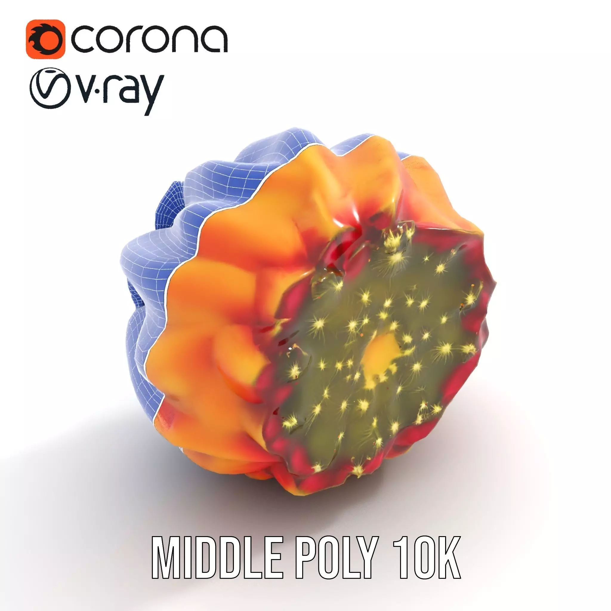 Starburst Cactus model pack Low-poly 3D model_13